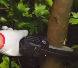 Wood Ranger Mini Chainsaw pruning a small tree