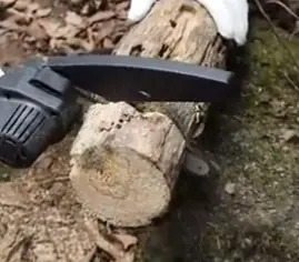 Log cut with the Wood Ranger Mini Chainsaw